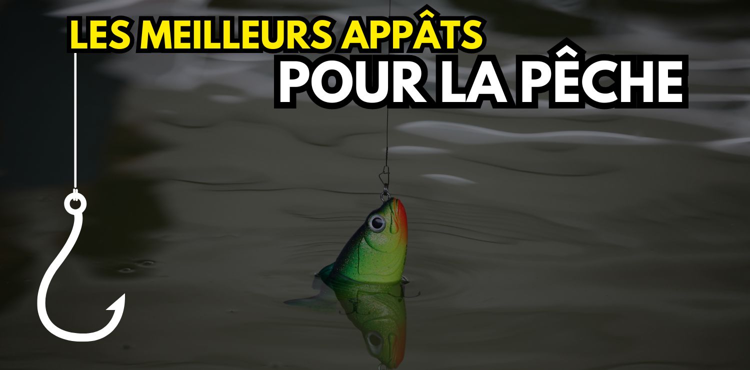 Le couteau les meilleurs appâts pour la pêche